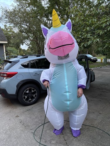 Adult inflatable unicorn - inflatable,